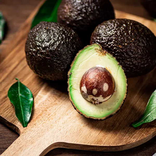 khozeni-farming-avocados-a